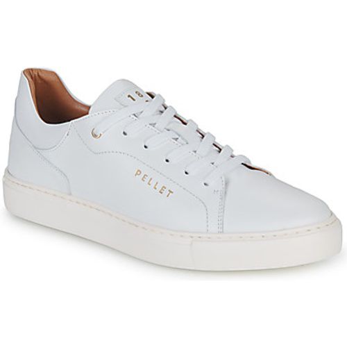 Pellet Sneaker JOSEPH - Pellet - Modalova