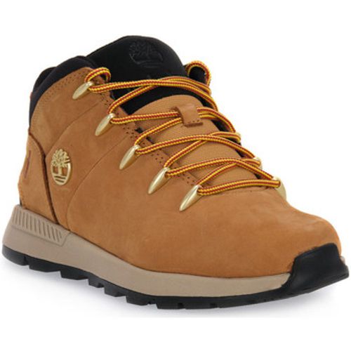 Stiefel SPRINT TREKKER MID WHEAT - Timberland - Modalova