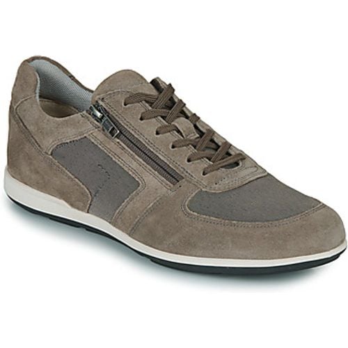 Geox Sneaker U IONIO - Geox - Modalova