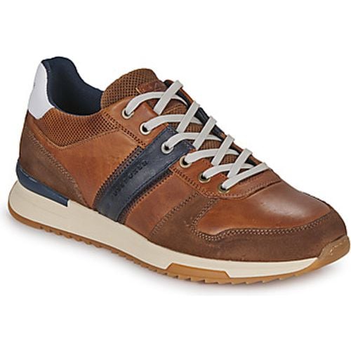 Bullboxer Sneaker 989K26213FCONA - Bullboxer - Modalova