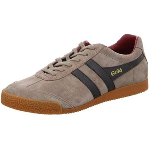 Halbschuhe Schnuerschuhe Harrier Suede CMA192FH207 - Gola - Modalova