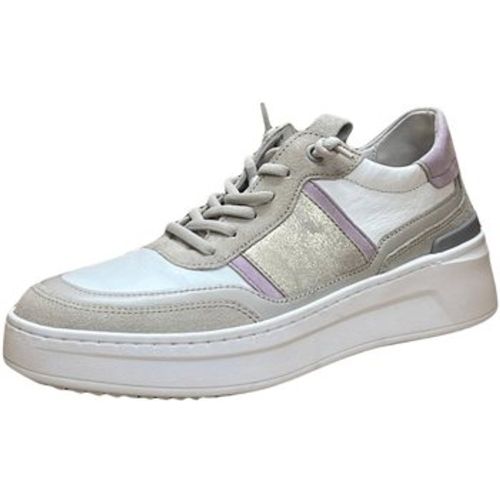 Halbschuhe Schnuerschuhe 23.281.12 - Gabor - Modalova