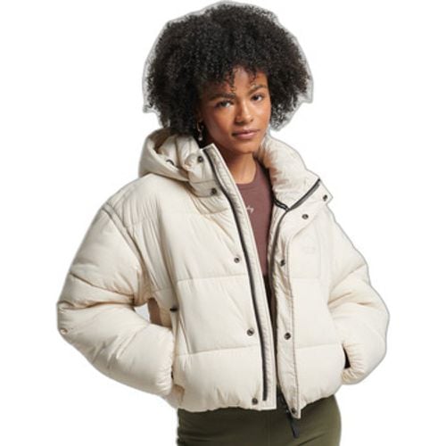 Daunenjacken Doudoune courte Cocoon - Superdry - Modalova