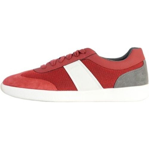 Geox Sneaker 209661 - Geox - Modalova