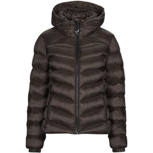 Daunenjacken HOODED FUJI PADDED JACKET - Superdry - Modalova