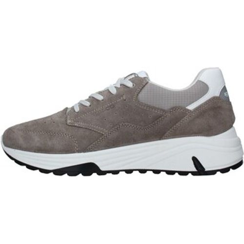 IgI&CO Sneaker 3630922 - IGI&Co - Modalova