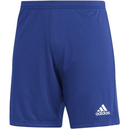 Adidas Shorts Ent22 Sho - Adidas - Modalova