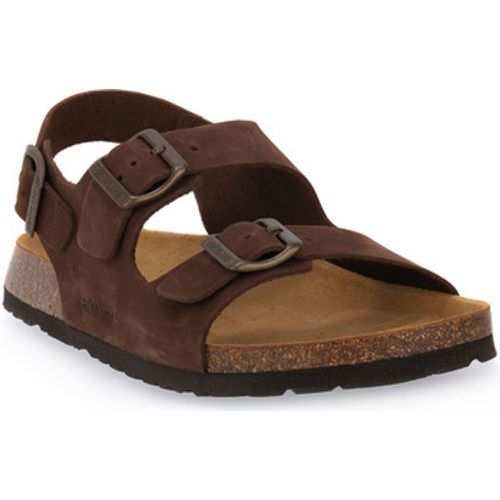 Grunland Pantoffeln MARRONE 40BOBO - Grunland - Modalova