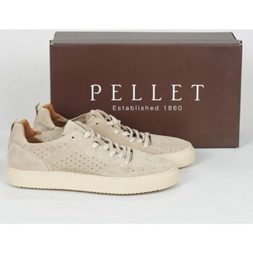 Pellet Sneaker SANDRON - Pellet - Modalova