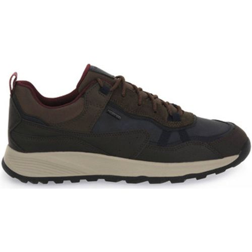 Geox Herrenschuhe TERRESTRE - Geox - Modalova