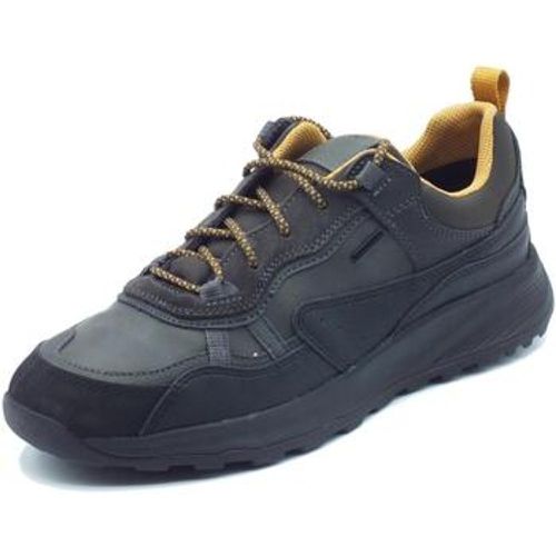 Halbschuhe U36EZC Terrestre Anthracite - Geox - Modalova