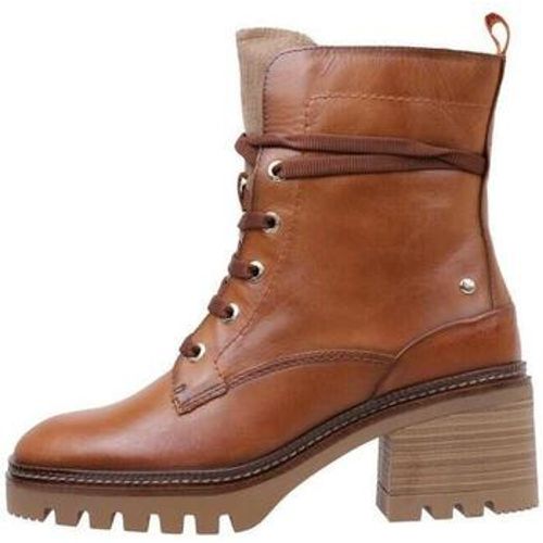 Stiefeletten VALLADOLID W5D-8698C2 - Pikolinos - Modalova