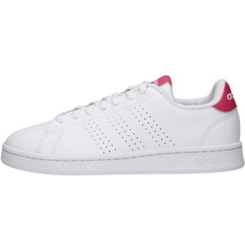 Adidas Sneaker IF5406 - Adidas - Modalova