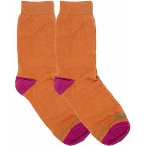 Socken PASP005-0061Y001-KAKI - Panchic - Modalova