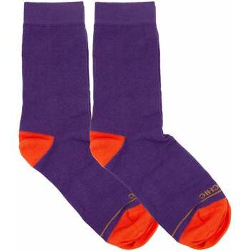 Socken PASP005-0061Y001-VIOLA - Panchic - Modalova