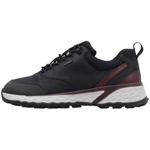 Geox Sneaker U STERRATO B ABX C - Geox - Modalova