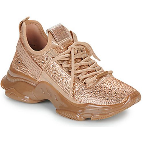 Steve Madden Sneaker MAXIMA-R - Steve Madden - Modalova