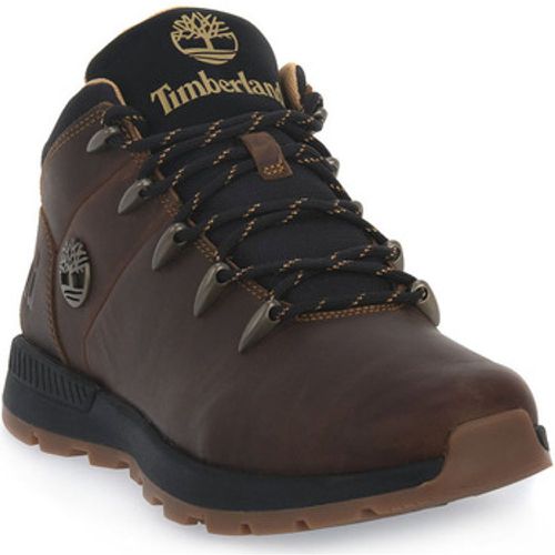 Stiefel SPRINT TREKKER MID CATHAY SPICE - Timberland - Modalova