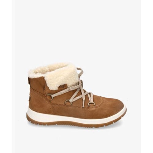 Stiefeletten LAKESIDER HERITAGE LACE - Ugg - Modalova