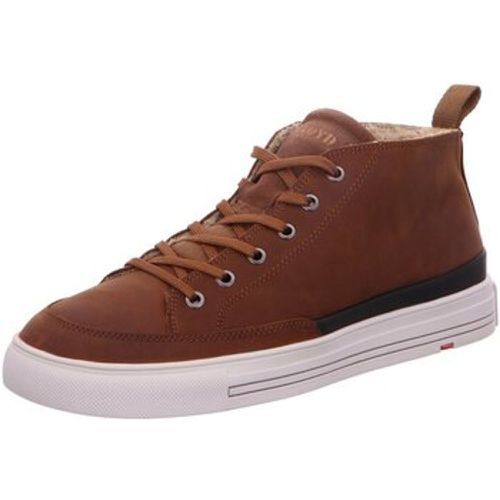 Halbschuhe Schnuerschuhe EDWARD CARD 23-909-01 - Lloyd - Modalova