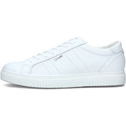 IgI&CO Sneaker 5630322 - IGI&Co - Modalova