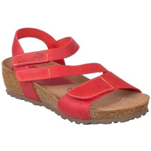 Interbios Sandalen 5378 - Interbios - Modalova