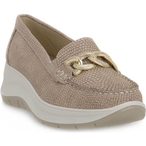 IgI&CO Sneaker MARGO TAUPE - IGI&Co - Modalova