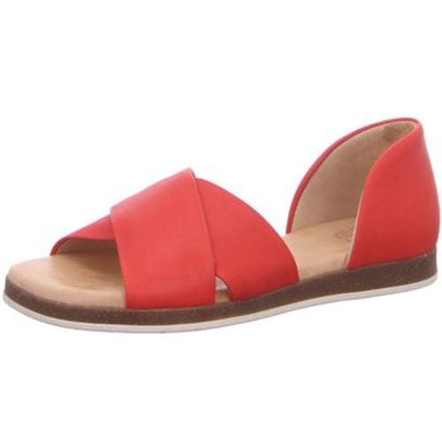 Sandalen Sandaletten Celine 26 - Apple of Eden - Modalova