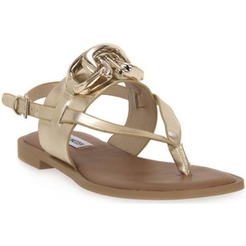 Steve Madden Sandalen GOLD GENIE - Steve Madden - Modalova