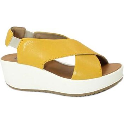 IgI&CO Sandalen IGI-E24-5668822-GI - IGI&Co - Modalova