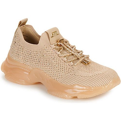 Steve Madden Sneaker METER - Steve Madden - Modalova