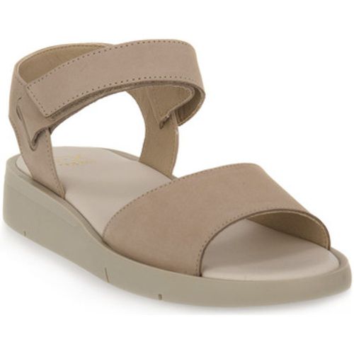 Frau Sandalen PANNA NABUCK - Frau - Modalova