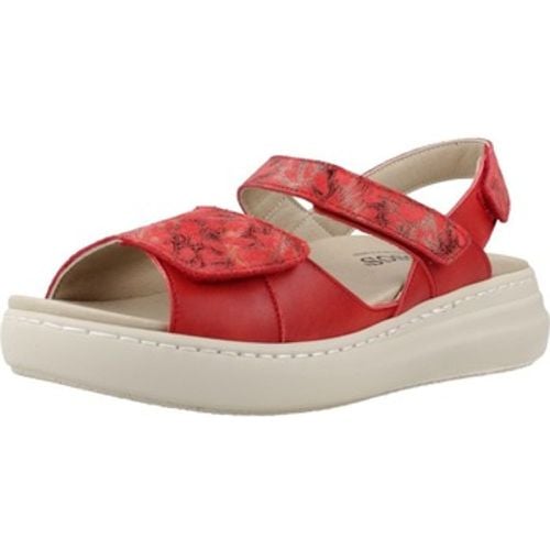 Pinoso's Sandalen 8170P - Pinoso's - Modalova