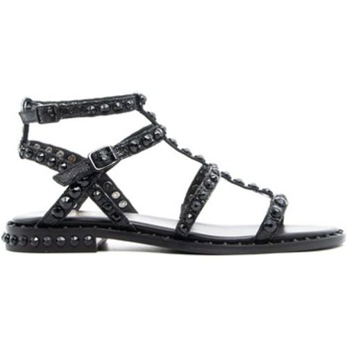 Ash Sandalen PRECIOUSBI06 CROKKI - Ash - Modalova