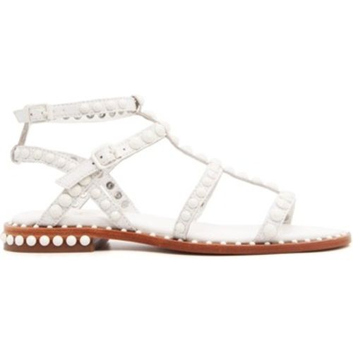 Ash Sandalen PRECIOUSBI07 CROKKI - Ash - Modalova