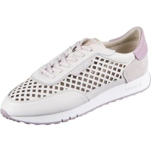 Halbschuhe Schnuerschuhe Barcelona W4P-6588 Nata Nata W4P-6588 Nata - Pikolinos - Modalova