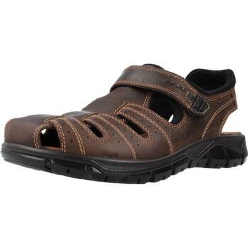 IgI&CO Sandalen 3641211 - IGI&Co - Modalova