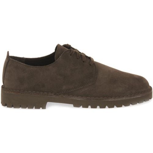 Clarks Sneaker DESERTROCK LOW - Clarks - Modalova