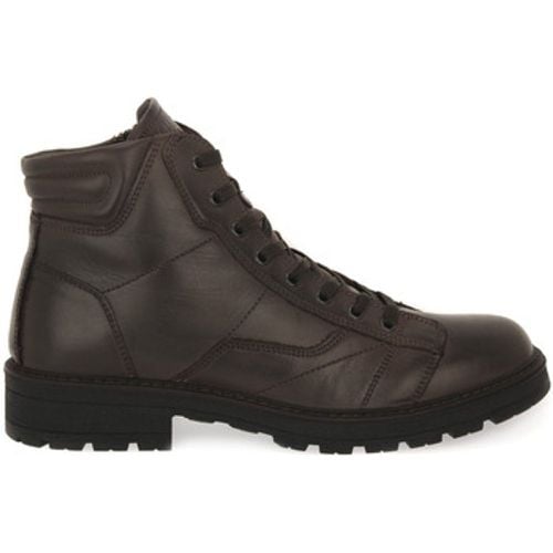 IgI&CO Stiefel CONRAD CAFFE - IGI&Co - Modalova