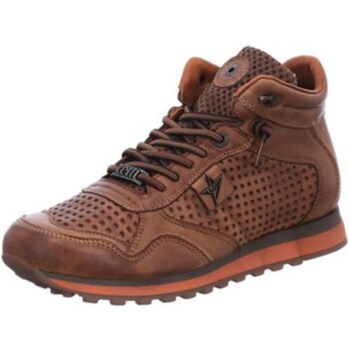 Sneaker Nature in Testa C1048 - Cetti - Modalova