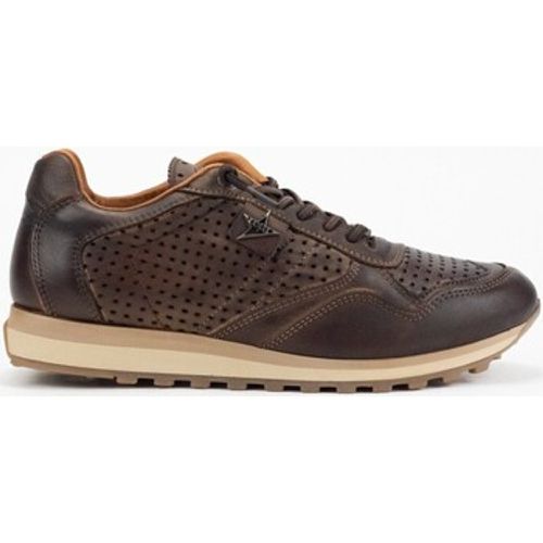 Cetti Sneaker 34993 - Cetti - Modalova