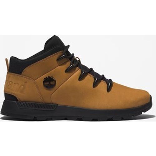 Timberland Sneaker TB0A2FEP231 - Timberland - Modalova