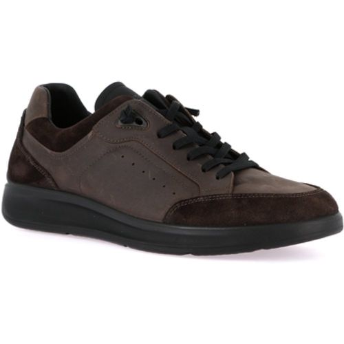 Grunland Sneaker DSG-SC4315 - Grunland - Modalova