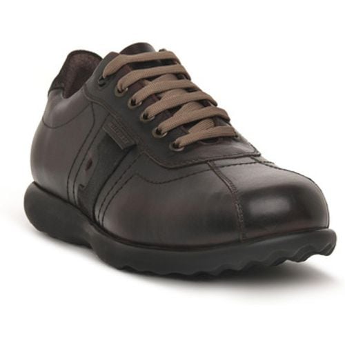 Valleverde Sneaker MARRONE - Valleverde - Modalova