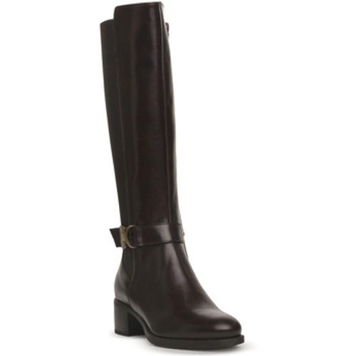 Stiefel NERO GIARDINI 300 MANOLETTE MORO - NeroGiardini - Modalova