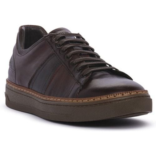 Exton Sneaker MOGANO ENNA - Exton - Modalova