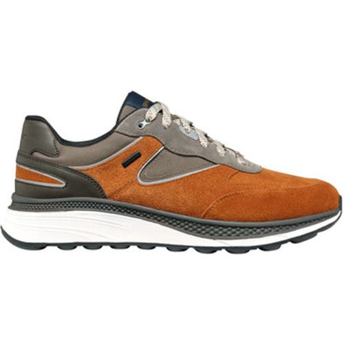 Sneaker U Spherica Actif X1 Abx sneaker - Geox - Modalova