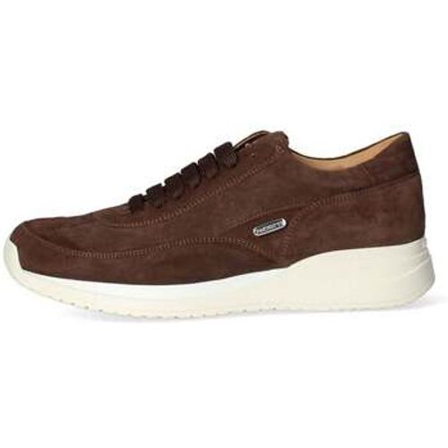 Cesare Paciotti Sneaker - Cesare Paciotti - Modalova