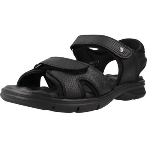 Panama Jack Sandalen SANDERS C18 - Panama Jack - Modalova