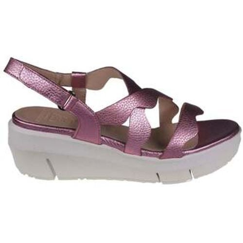 Wonders Sandalen Max - Wonders - Modalova